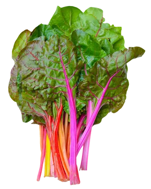 Colorful Rainbow Chard Bunch PNG Image