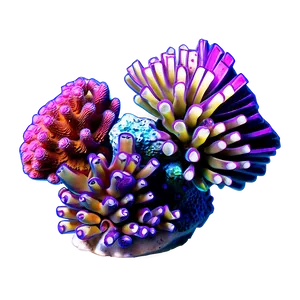 Colorful Reef Underwater Png Eqv76 PNG Image