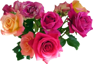 Colorful Rose Bouquet Transparent Background PNG Image