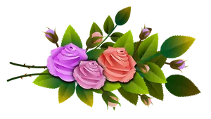 Colorful Roses Black Background PNG Image