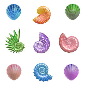 Colorful Sea Shells Collection PNG Image