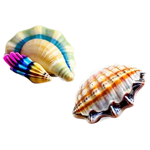 Colorful Sea Shells Png 06212024 PNG Image