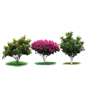 Colorful Shrubs Png 06122024 PNG Image