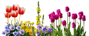 Colorful Spring Flowers Arrangement PNG Image