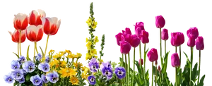 Colorful Spring Flowers Arrangement PNG Image