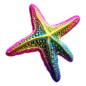 Colorful Starfish Illustration Png Pbq94 PNG Image