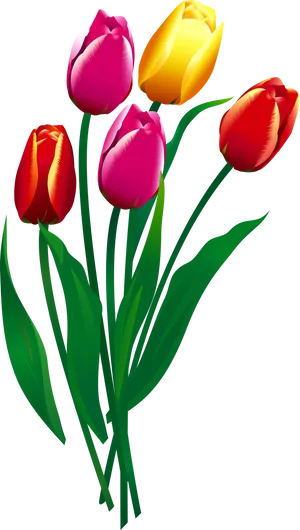 Colorful Tulip Bouquet Illustration PNG Image