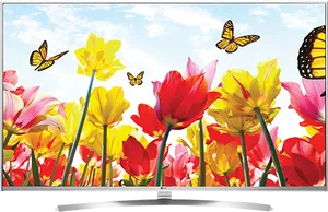 Colorful Tulipsand Butterflies4 K T V Display PNG Image