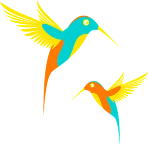 Colorful Vector Hummingbirds PNG Image