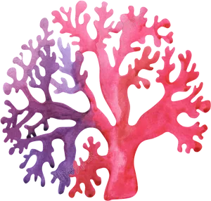 Colorful Watercolor Coral Illustration PNG Image