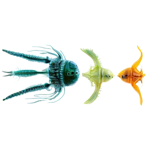 Colorful Zooplankton Collection Png Uos80 PNG Image