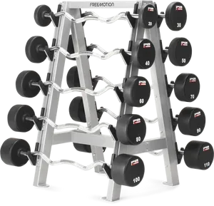 Commercial Gym Barbell Rack Full Set PNG Image