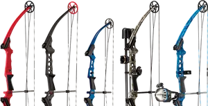 Compound Bows Showcase PNG Image