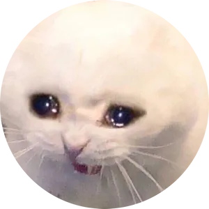 Concerned Cat Meme Circle PNG Image