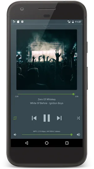 Concert Crowd_ Music Player App_ Screen PNG Image