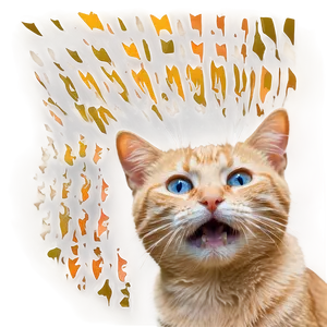 Confused Cat Meme Png Ixn PNG Image