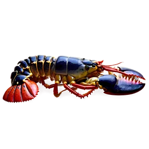 Cooked Lobster PNG Ucj56 PNG