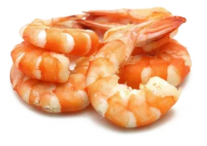 Cooked Shrimp Closeup.png PNG Image