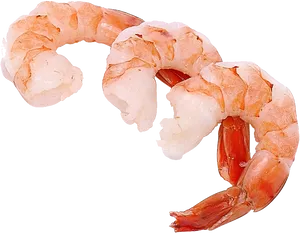 Cooked Shrimp Transparent Background PNG Image