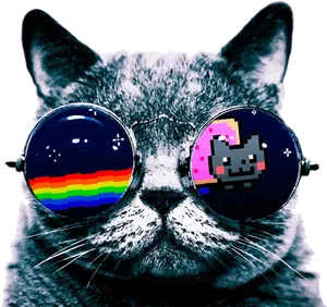 Cool Cat Memewith Sunglasses PNG Image