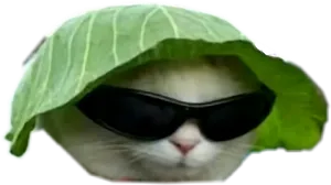 Cool Cat With Leaf Hatand Sunglasses.png PNG Image