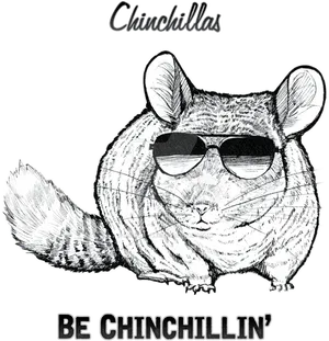 Cool Chinchilla Sunglasses Artwork PNG Image