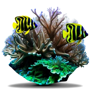 Coral Reef Diving Expedition Png Bed PNG Image