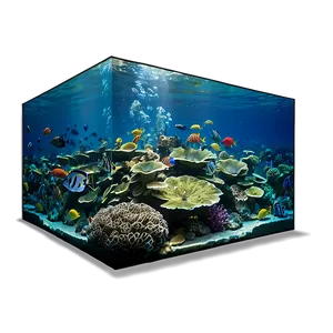 Coral Reef Ecosystem Png 06292024 PNG Image