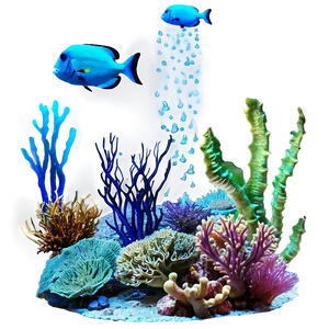 Coral Reef Ecosystem Png 88 PNG Image