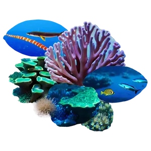 Coral Reef Ecosystem Png Gep PNG Image