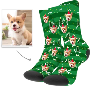 Corgi Christmas Socks Design PNG Image