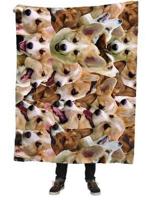 Corgi Collagewith Legs PNG Image