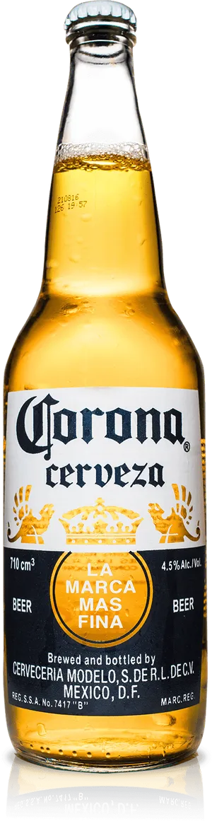 Corona Beer Bottle Studio Shot PNG Image