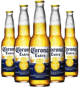 Corona Extra Beer Bottles PNG Image