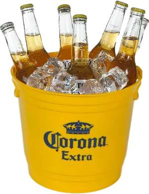 Corona Extra Beer Bucket Chilled PNG Image