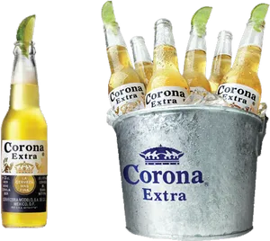 Corona Extra Beer Bucket Lime Wedge PNG Image