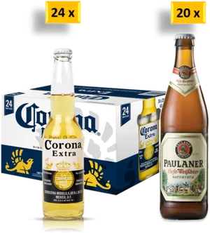 Corona Extraand Paulaner Beer Comparison PNG Image