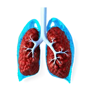 Coronavirus Infected Lungs Image Png 19 PNG Image