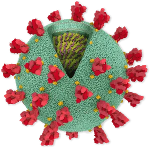 Coronavirus Structure Illustration PNG Image