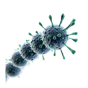 Coronavirus Vaccine Development Png Mfm PNG Image