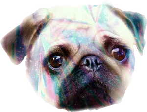 Cosmic Pug Portrait PNG Image