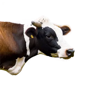 Cow Head Outline Png 64 PNG Image