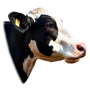 Cow Head Profile Png Hir PNG Image