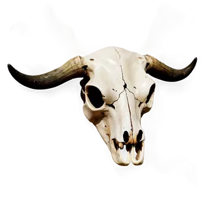 Cow Skull Silhouette Png 06132024 PNG Image