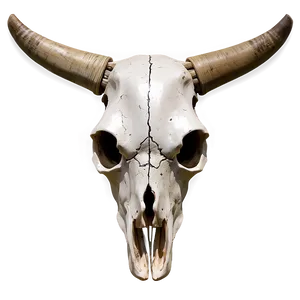 Cow Skull With Feathers Png Yfr30 PNG Image