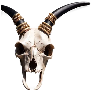 Cow Skull With Horns Png Yuq76 PNG Image