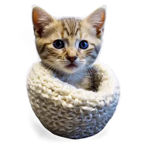 Cozy Kitten Picture Png 06242024 PNG Image