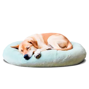 Cozy Sleeping Dog Png 05232024 PNG Image