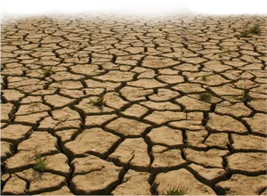 Cracked Desert Soil PNG Image