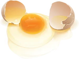 Cracked Egg Vector Illustration PNG Image